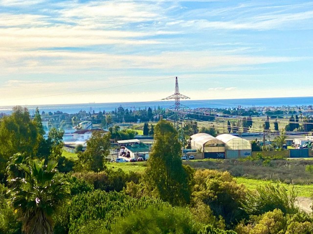 Penthouse, Nueva Andalucia