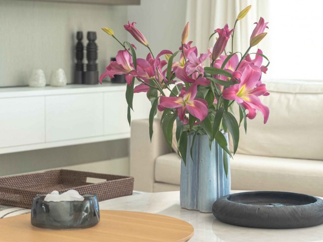 5 Makuuhuoneen Huvila San Pedro de Alcántara