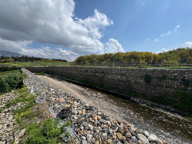  Parcelle à Puerto Banús