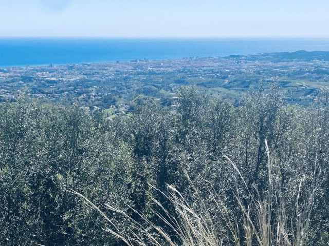 Villa, Valtocado, R5337256