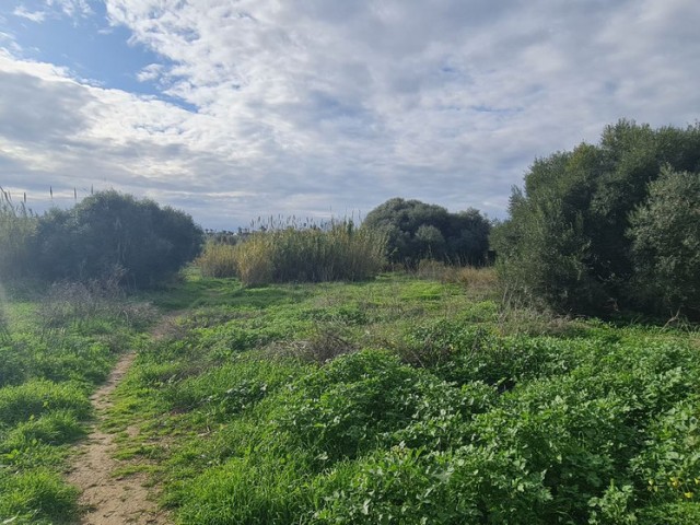 Tomt, Campo Mijas, R5287228