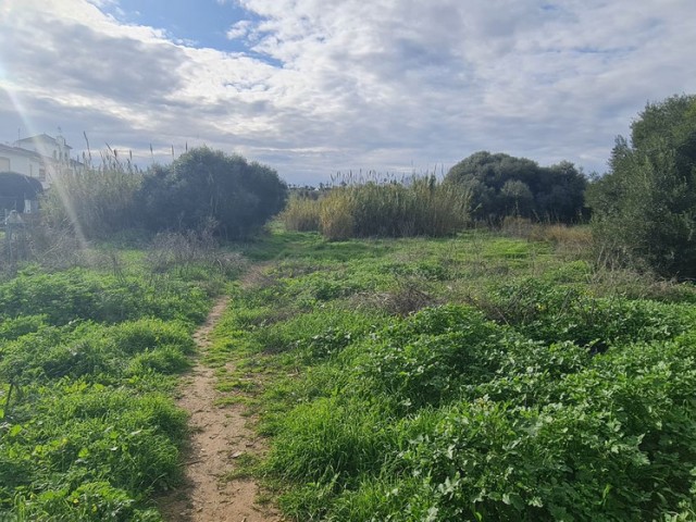 Tomt, Campo Mijas, R5287228