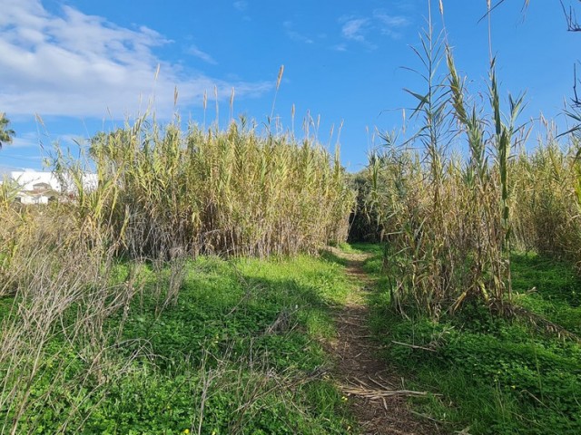  Parcelle à Campo Mijas