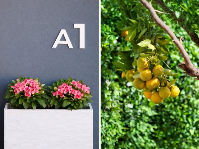 3 Bedrooms Villa in La Cala de Mijas