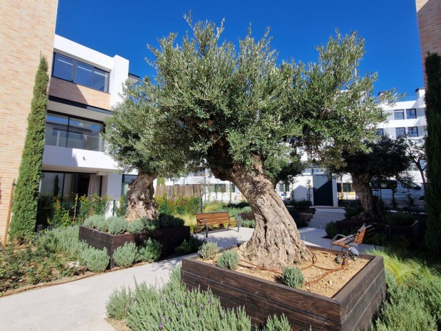 3 Slaapkamer Appartement in Estepona