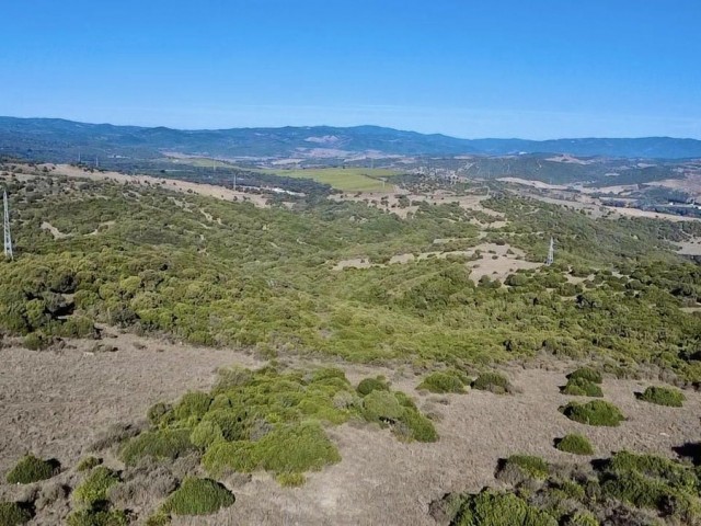  Parcelle à Sotogrande