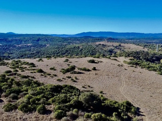  Parcelle à Sotogrande