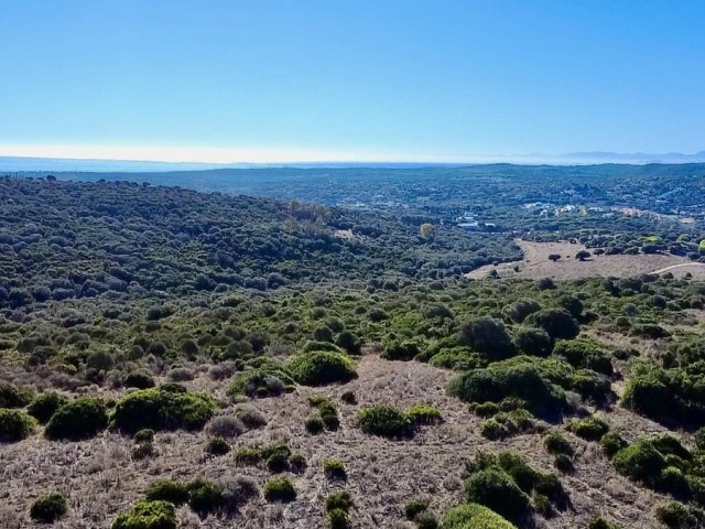  Parcelle à Sotogrande