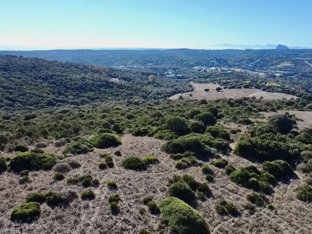 Parcelle à Sotogrande