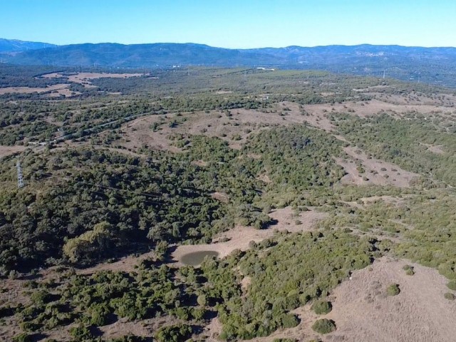  Parcelle à Sotogrande