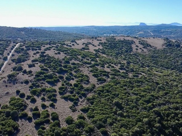  Parcelle à Sotogrande