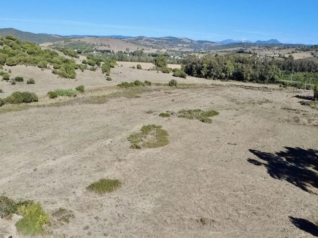  Parcelle à Sotogrande