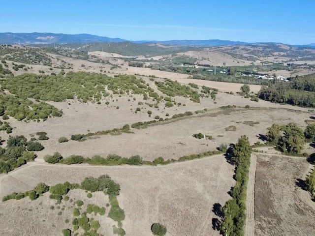  Parcelle à Sotogrande