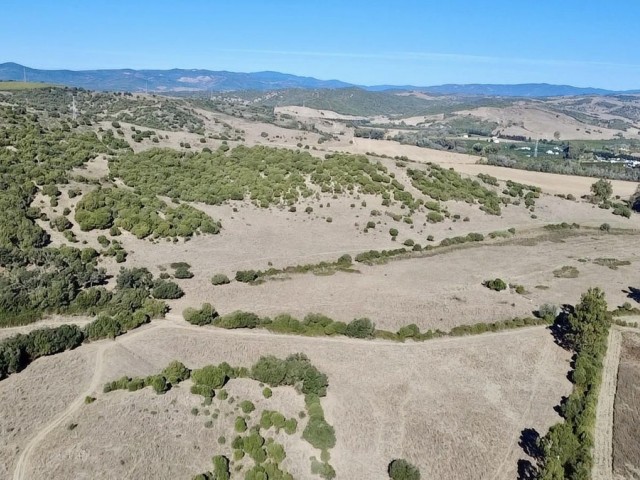  Parcelle à Sotogrande