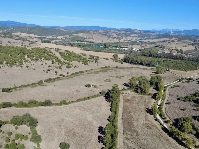  Parcelle à Sotogrande