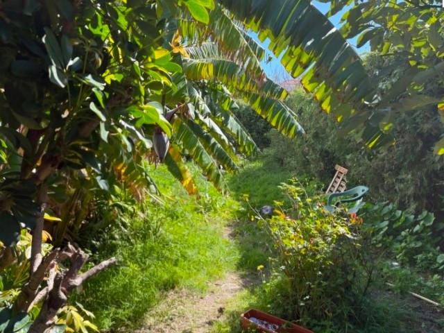 5 Sovrums Radhus i Estepona