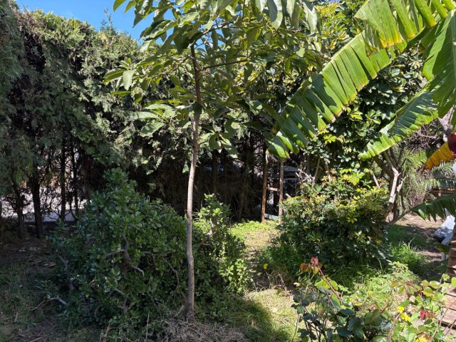 5 Sovrums Radhus i Estepona