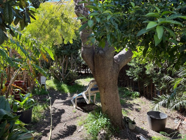 5 Sovrums Radhus i Estepona