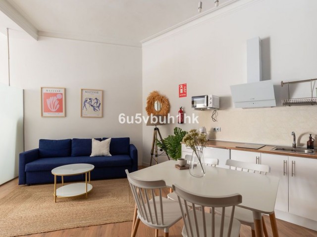 3 Bedrooms Apartment in Málaga