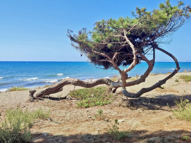 4 Makuuhuoneen Huoneisto New Golden Mile