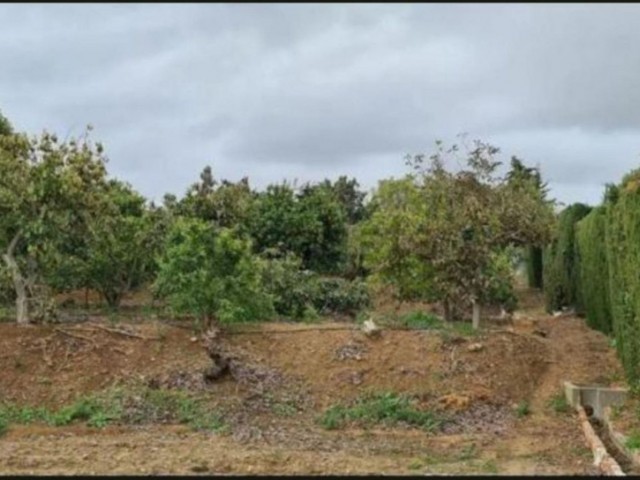 3 Bedrooms Villa in Campo Mijas