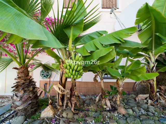 7 Bedrooms Villa in Estepona