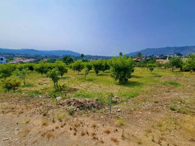 1 Bedrooms Villa in Las Lagunas