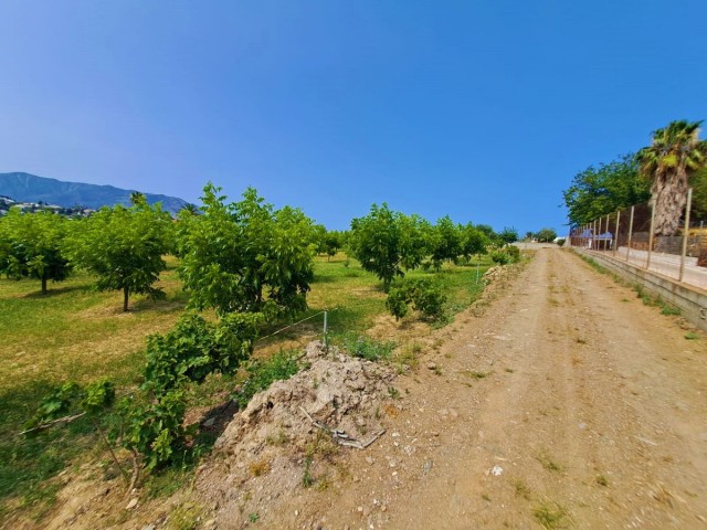 1 Bedrooms Villa in Las Lagunas