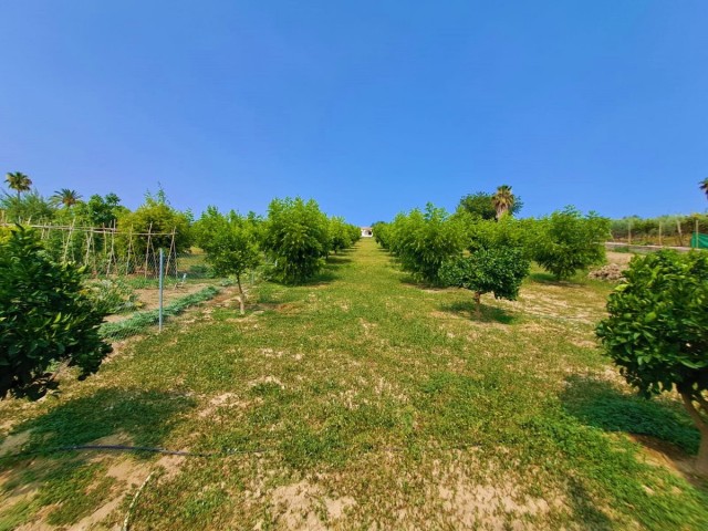 1 Bedrooms Villa in Las Lagunas