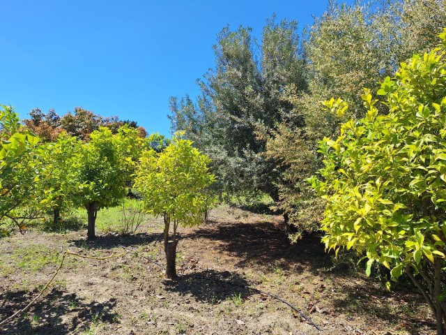 3 Bedrooms Villa in Estepona