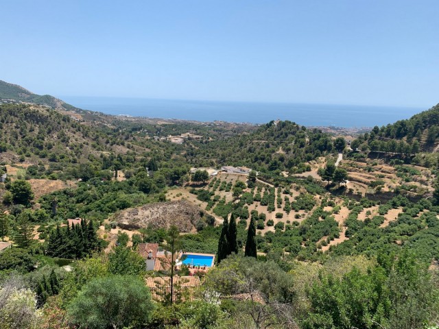 Plot, Mijas