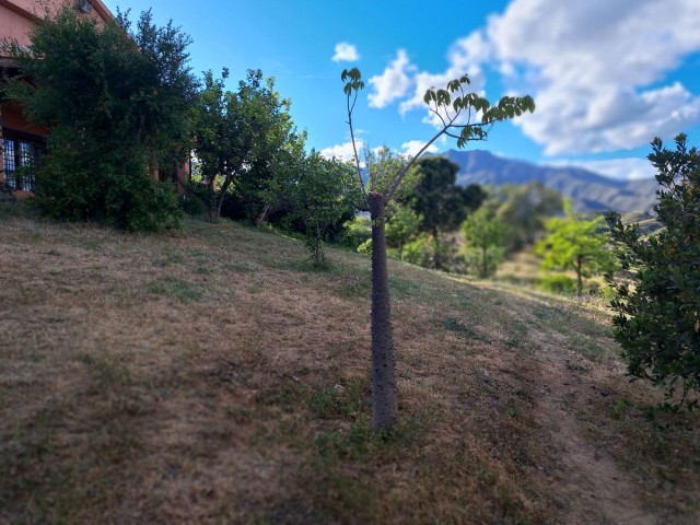 4 Bedrooms Villa in Entrerrios