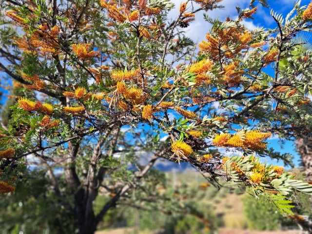 4 Bedrooms Villa in Entrerrios