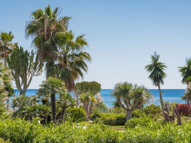 Huoneisto Costalita - R5311477