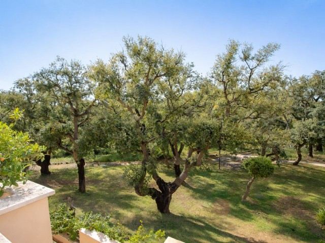 2 Bedrooms Apartment in Elviria