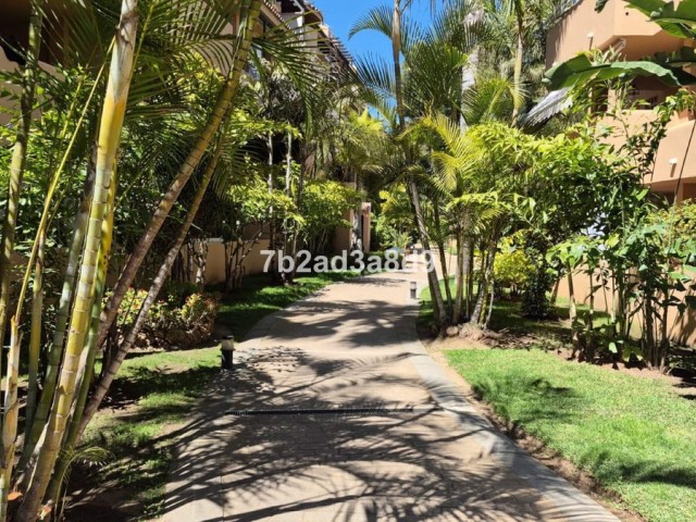 2 Makuuhuoneen Huoneisto El Rosario