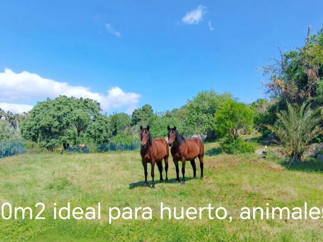 5 Makuuhuoneen Huvila Estepona