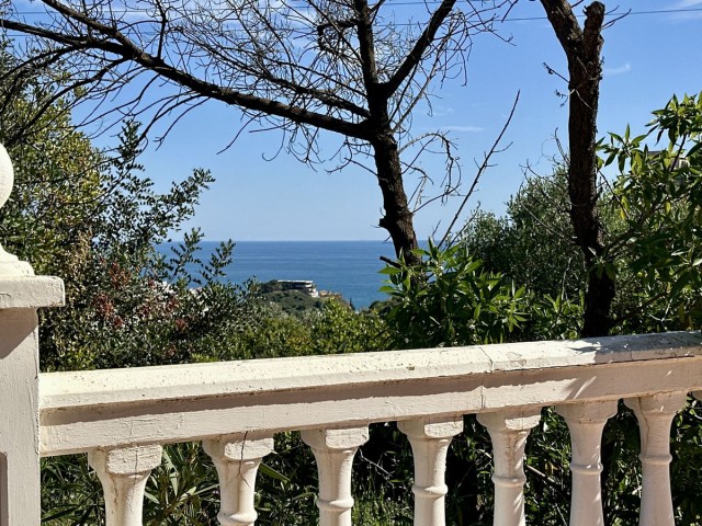  Tontti Benalmadena Costa