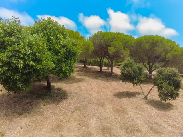  Grundstück in Sotogrande Alto