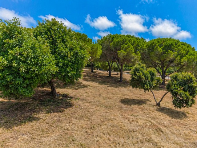  Grundstück in Sotogrande Alto