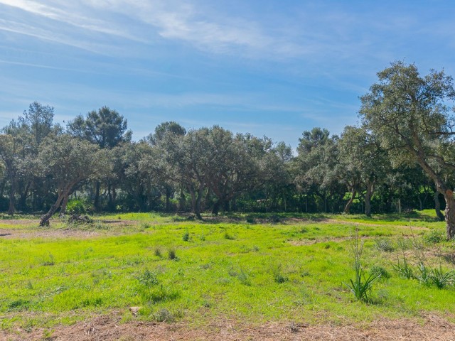  Grundstück in Sotogrande Alto