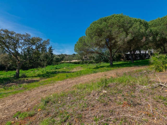  Grundstück in Sotogrande Alto
