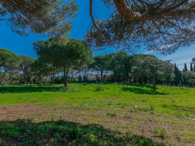  Grundstück in Sotogrande Alto