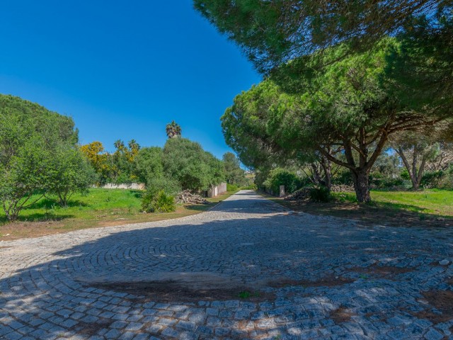  Grundstück in Sotogrande Alto