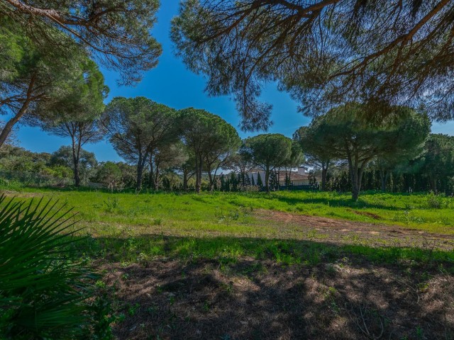  Grundstück in Sotogrande Alto