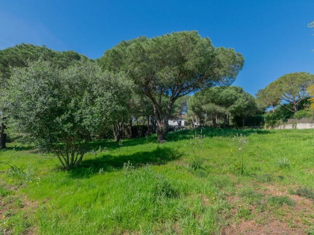  Grundstück in Sotogrande Alto
