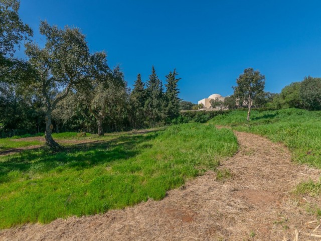  Tontti Sotogrande Alto