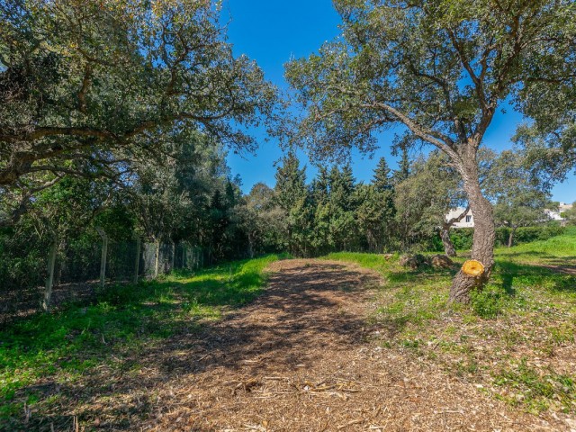  Tontti Sotogrande Alto