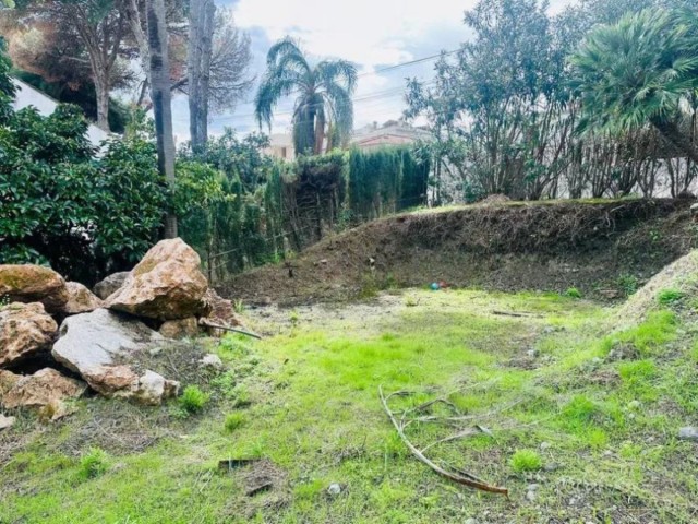 Tontti, Nueva Andalucia