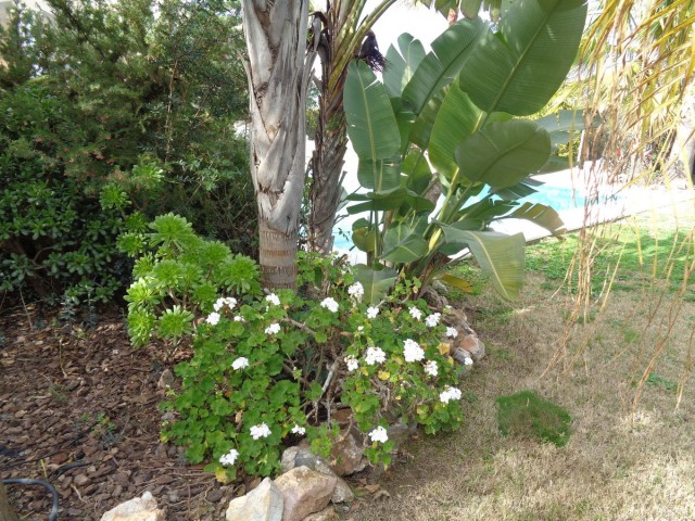 4 Makuuhuoneen Huvila Alhaurín de la Torre